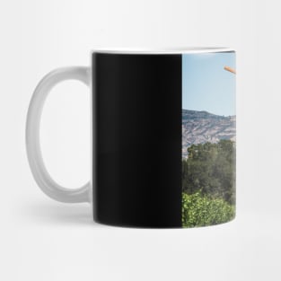 Vineyard Fan Mug